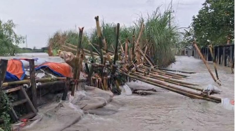 Penanganan darurat tanggul Sungai Citarum yang jebol di Desa Pantai Bakti Kecamatan Muaragembong.