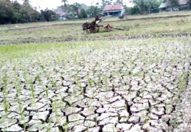 Pemkab Bekasi Keluarkan Peringatan Dini, Kemarau 2026 Diprediksi Lebih Panjang dan Kering